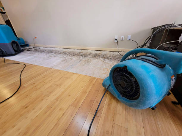 Professional Flood Damage Cleanup technician working in Maple Park, IL